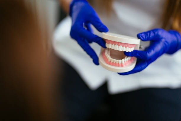 Newtown, OH Holistic Dental Care Services Company